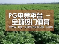 种植基地五(图1)