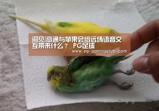 洞见|高通与苹果会给远场语音交互带来什么?_PG足球(图1) PG足球
