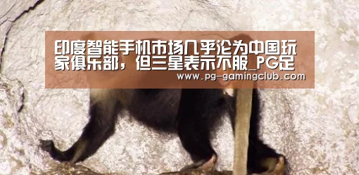 PG体育