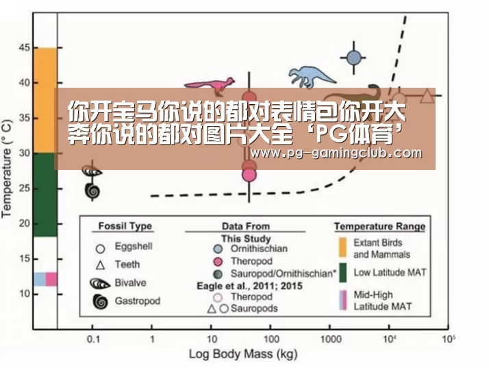你开宝马你说的都对表情包你开大奔你说的都对图片大全‘PG体育’(图4) PG篮球