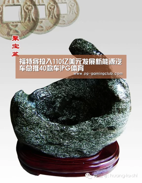 福特将投入110亿美元发展新能源汽车总推40款车|PG体育(图2) PG竞猜