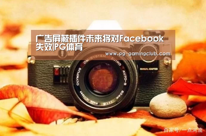 广告屏蔽插件未来将对Facebook失效|PG体育(图3) PG竞猜