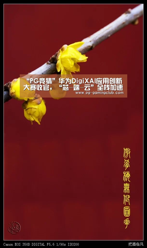“PG竞猜”华为DigiXAI应用创新大赛收官,“芯-端-云”全栈加速推动终端生态发展(图1) PG篮球
