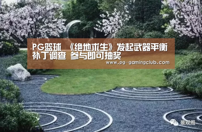 PG篮球_《绝地求生》发起武器平衡补丁调查 参与即可抽奖(图4) PG竞猜