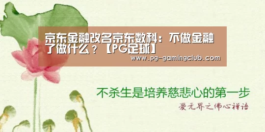 PG篮球